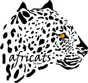AfriCats-1